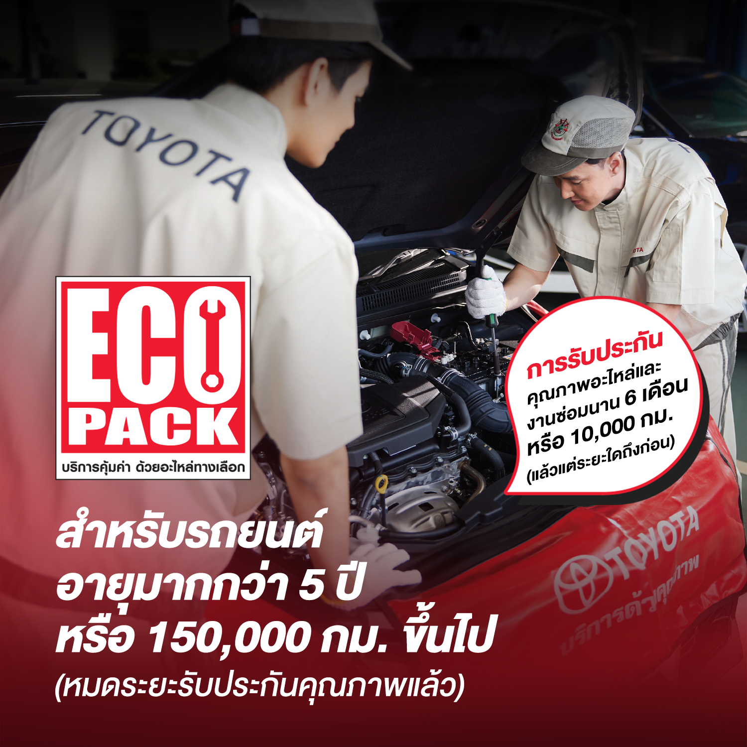 ECO PACK
